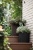 Комплект кашпо CYLINDER PLANTERS - 3 шт. (S+M+L)