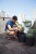 Комплект кашпо CYLINDER PLANTERS - 3 шт. (S+M+L)