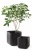 Кашпо Куб М (CUBE PLANTER M) 22 л. Кашпо Куб М (CUBE PLANTER M) 22 л.