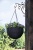 Подвесное кашпо HANGING SPHERE PLANTER Подвесное кашпо HANGING SPHERE PLANTER